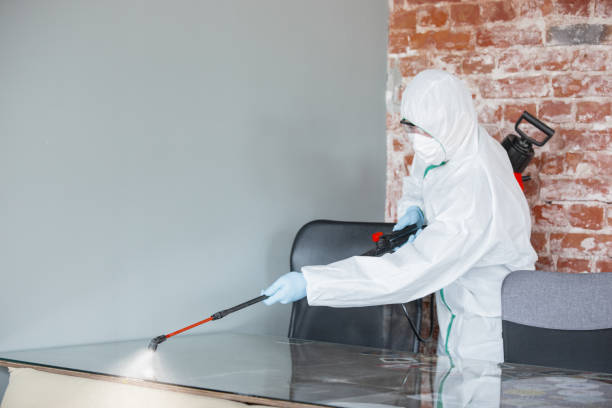 Best Crawl Space Mold Remediation  in Washington, IA